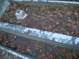 image of grave number 179619